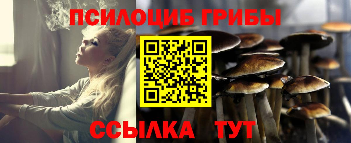 Галлюциногенные грибы Psilocybine cubensis  сколько стоит  Муром  Вход с VPN 