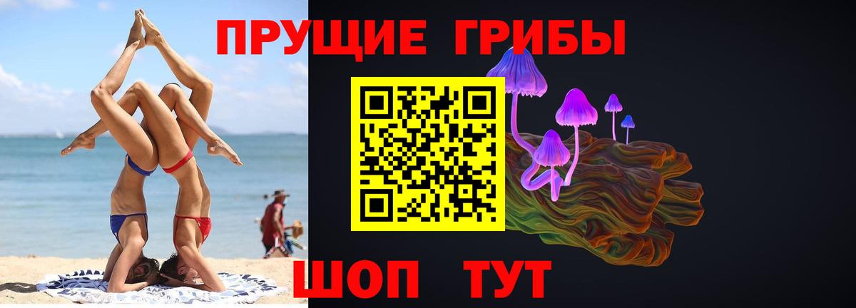 Псилоцибиновые грибы мицелий Муром
